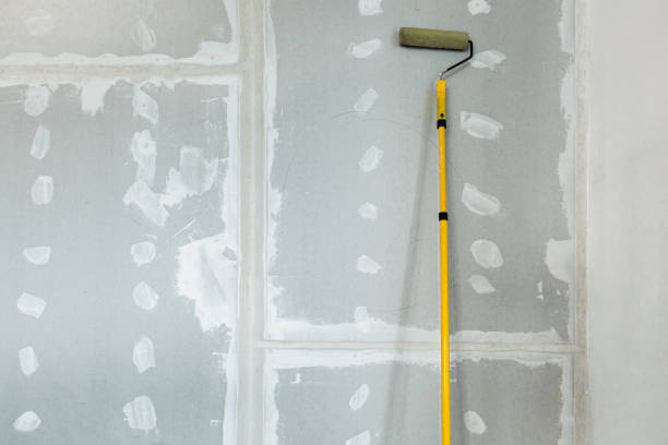 Best Black Mold Removal  in Rahway, NJ